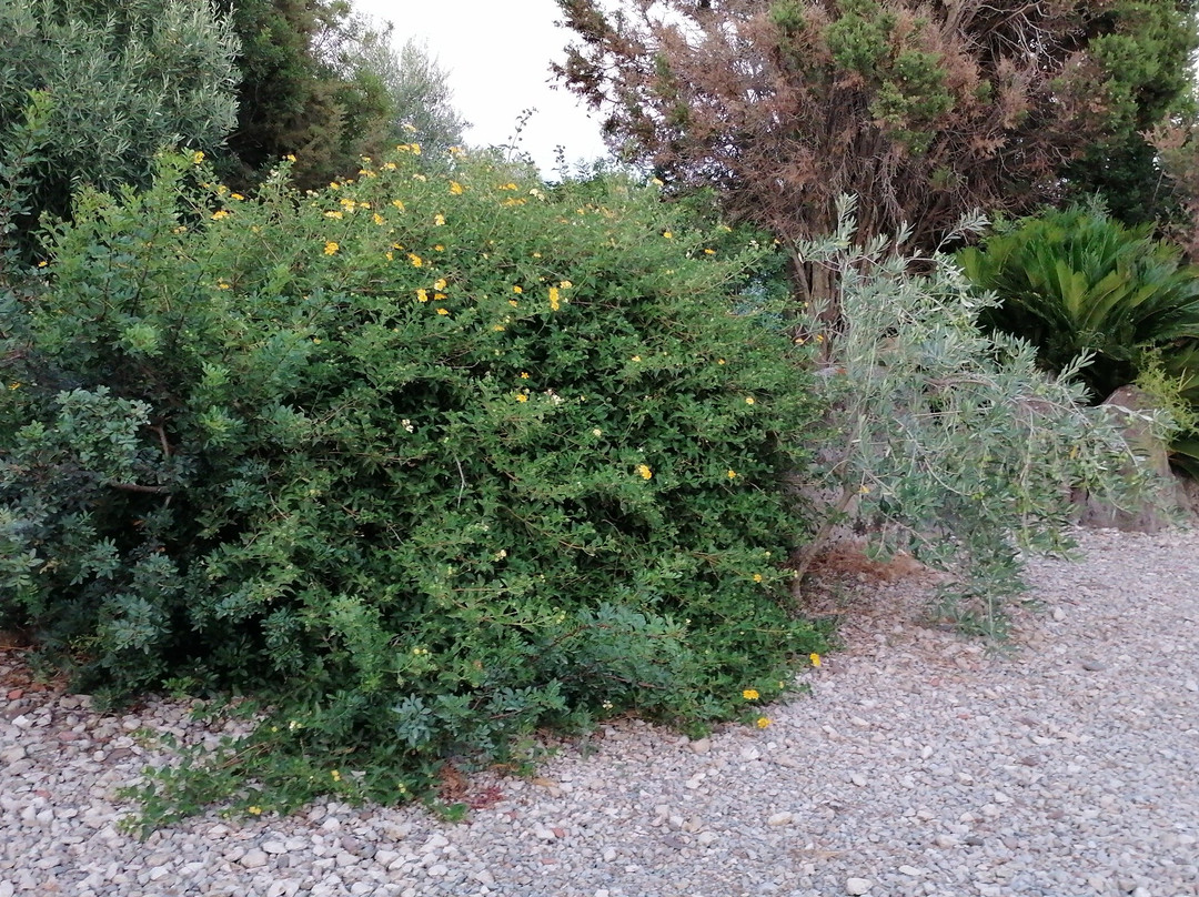 Agriturismo Sirimagus主图