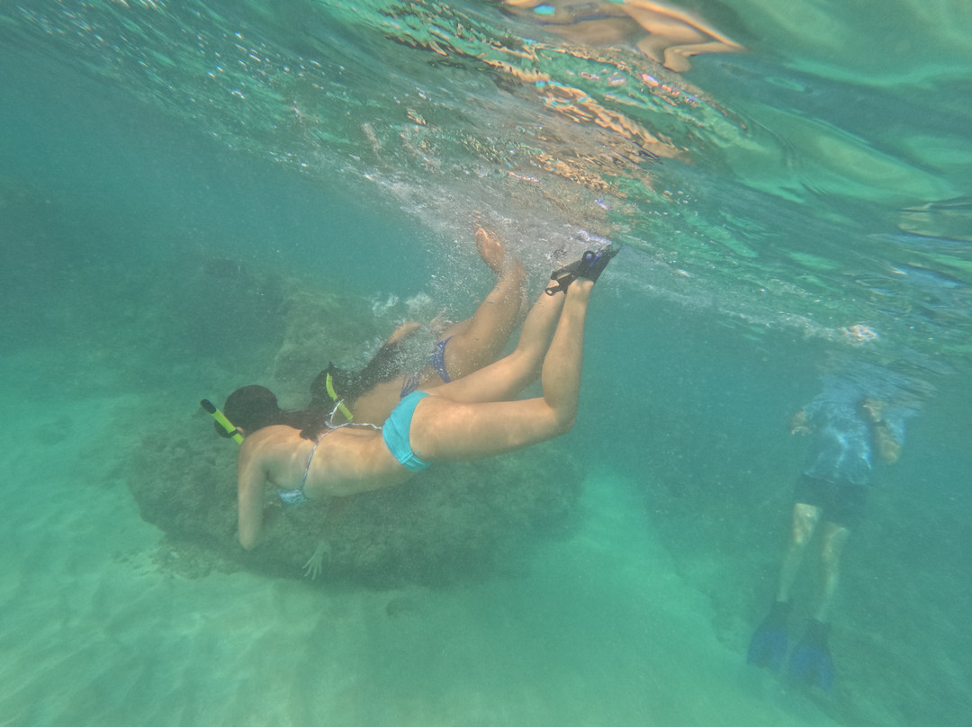 Pure Aloha Adventures-火奴鲁鲁必去景点