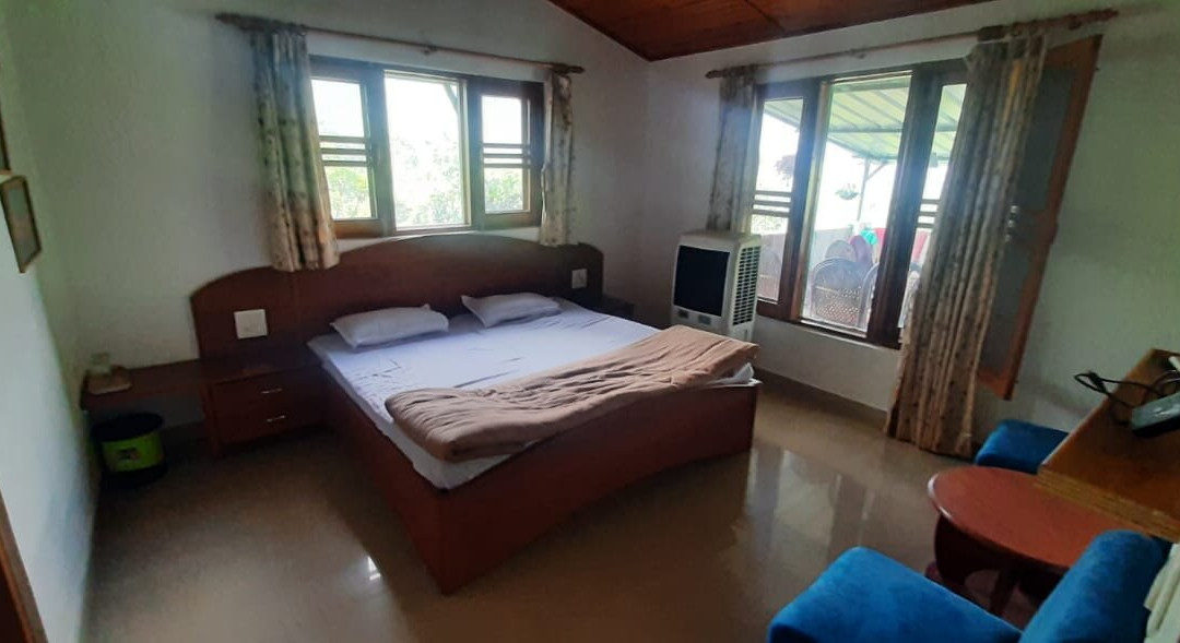 Experto The Greens主图