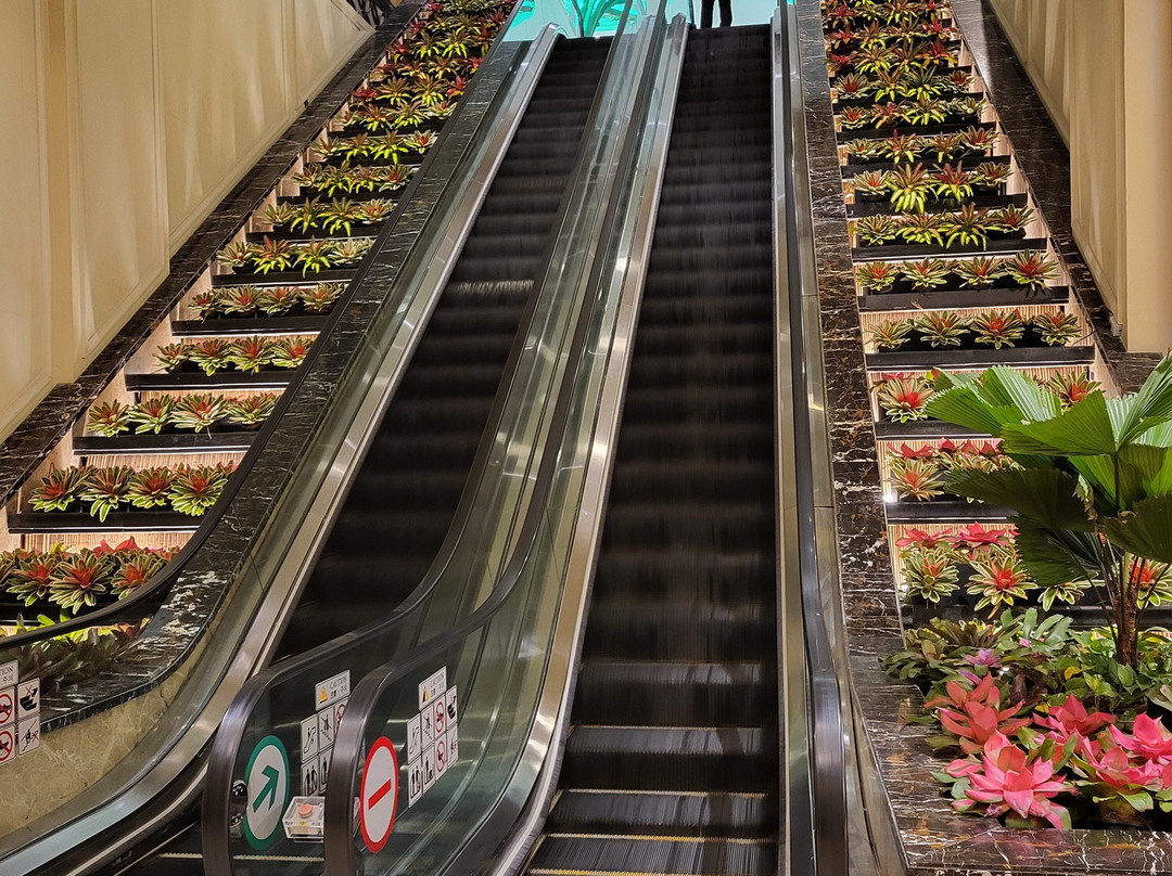 Newport Mall-帕塞必去景点