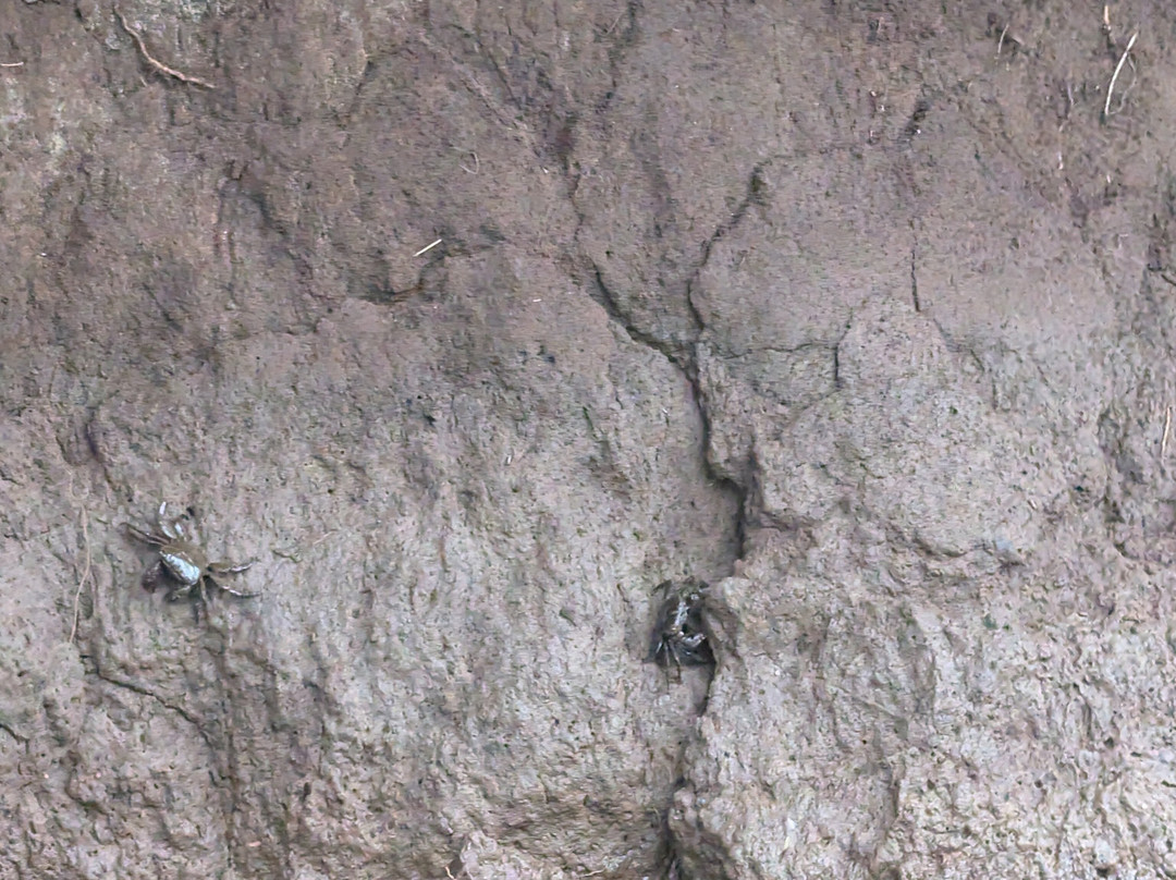 Blue Planet Adventure Company-哈雷瓦必去景点