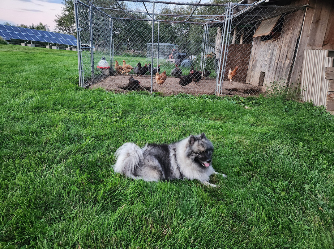 The Inn At Oxbow Acres主图