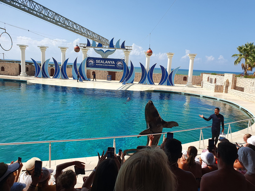Sealanya Dolphinpark Seapark-蒂尔克莱尔必去景点