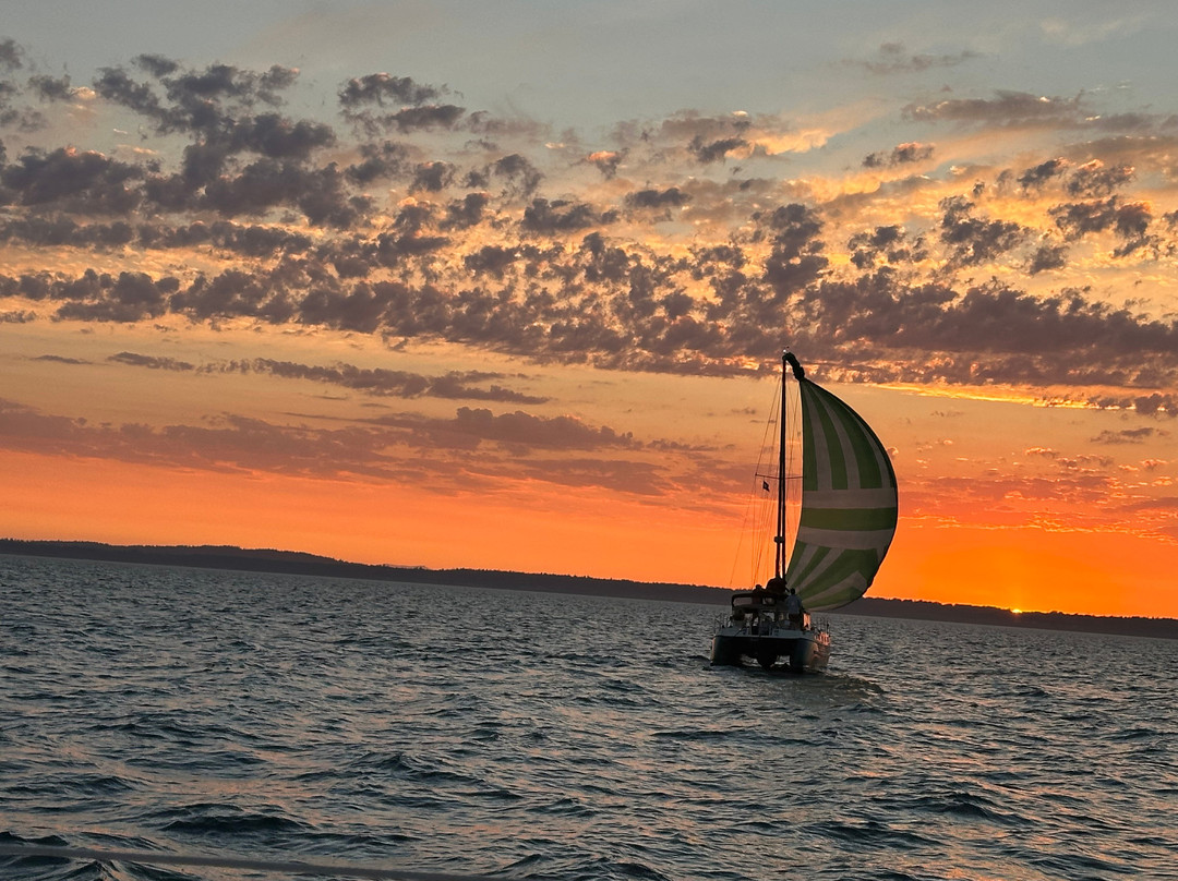 Gato Verde Adventure Sailing景点图片