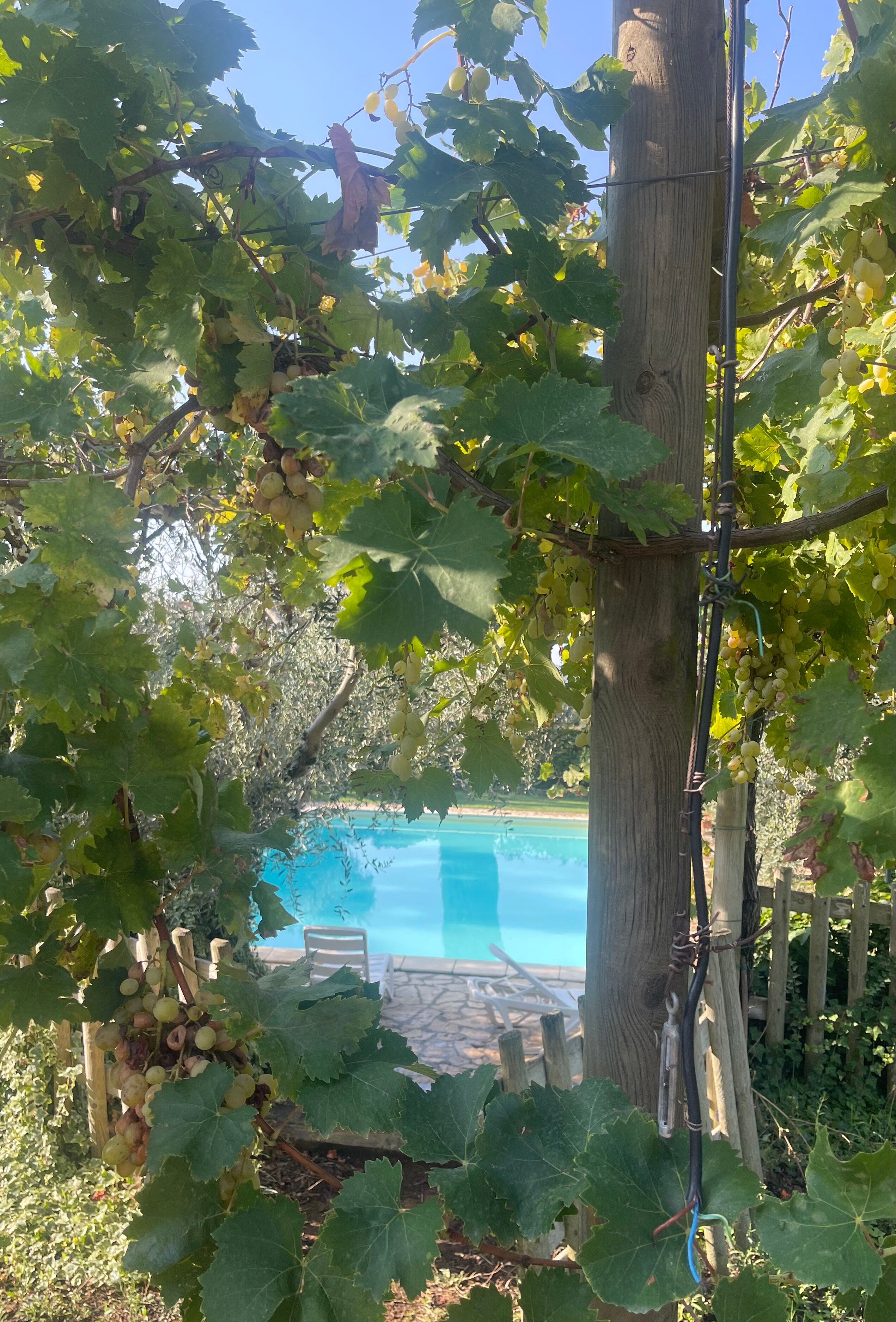 Agriturismo il Gaggiolo-官方