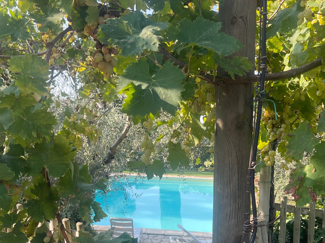 Agriturismo il Gaggiolo主图