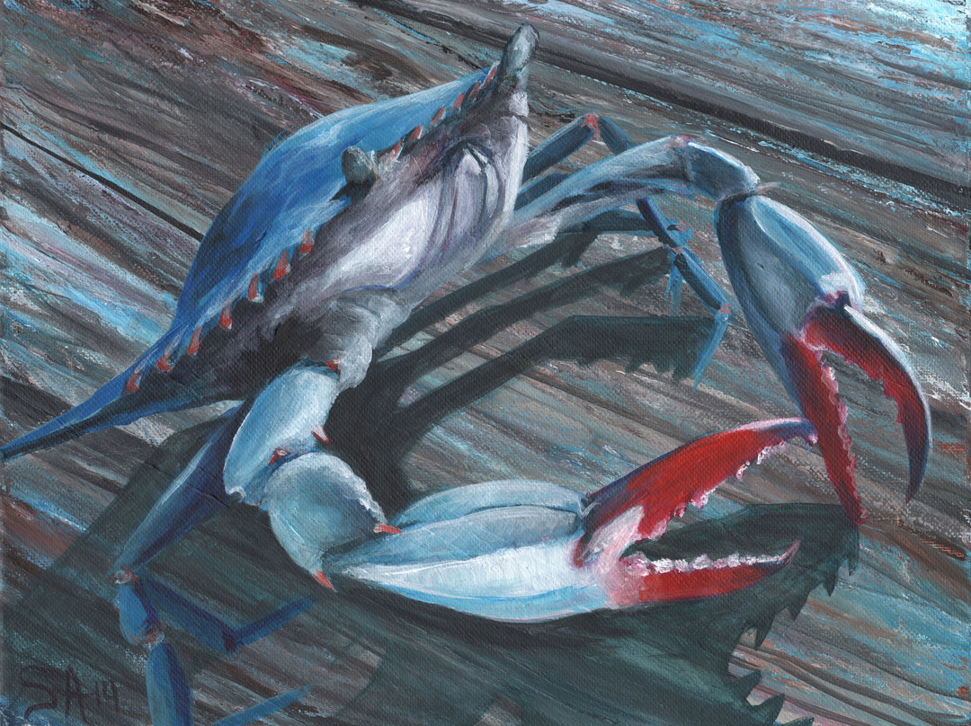 Art Ocracoke Gallery景点图片