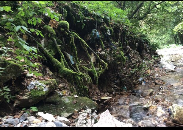 Valle dei Mulini景点图片