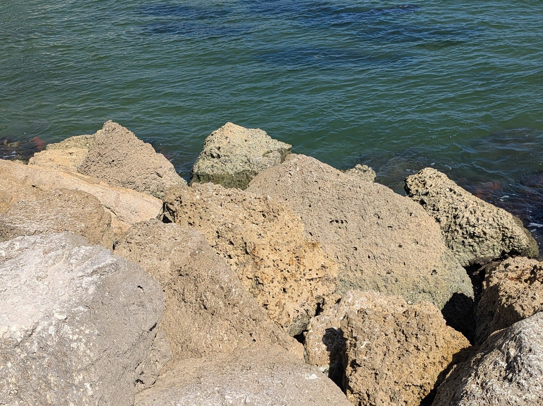 Sebastian Inlet State Park景点图片