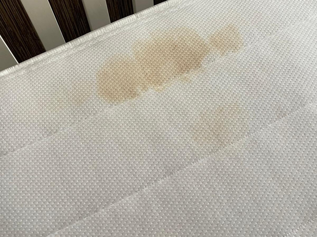 The George Hotel主图