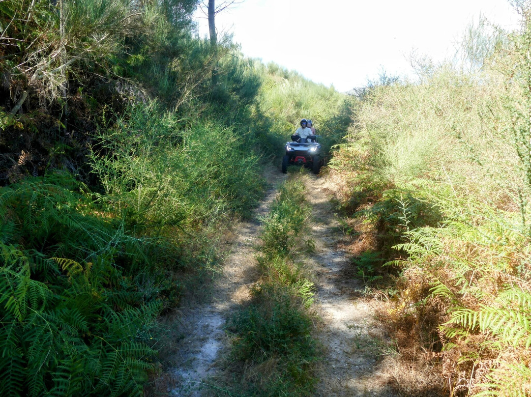 Natureway atv tours-Arcos de Valdevez必去景点