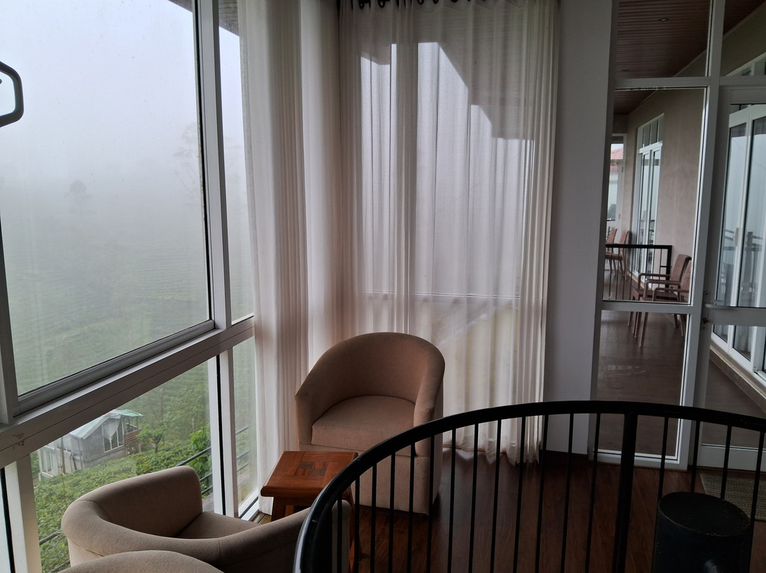 Harrington Heritage主图