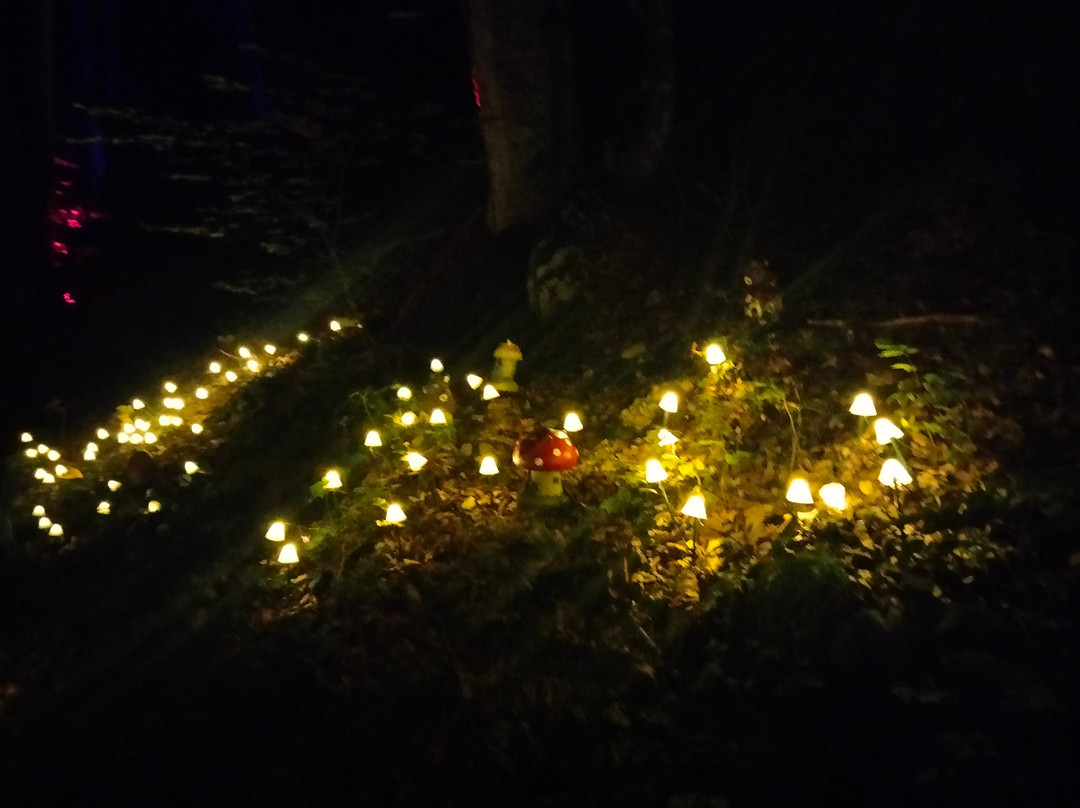 Lumina Milia景点图片