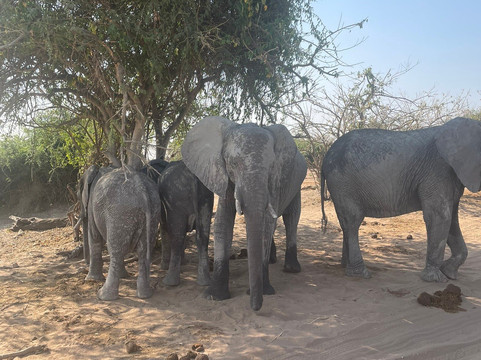 Sight Africa Travel & Tours-李文斯顿必去景点