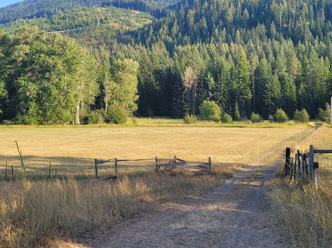 Cedar Mountain Farm Bed and Breakfast主图