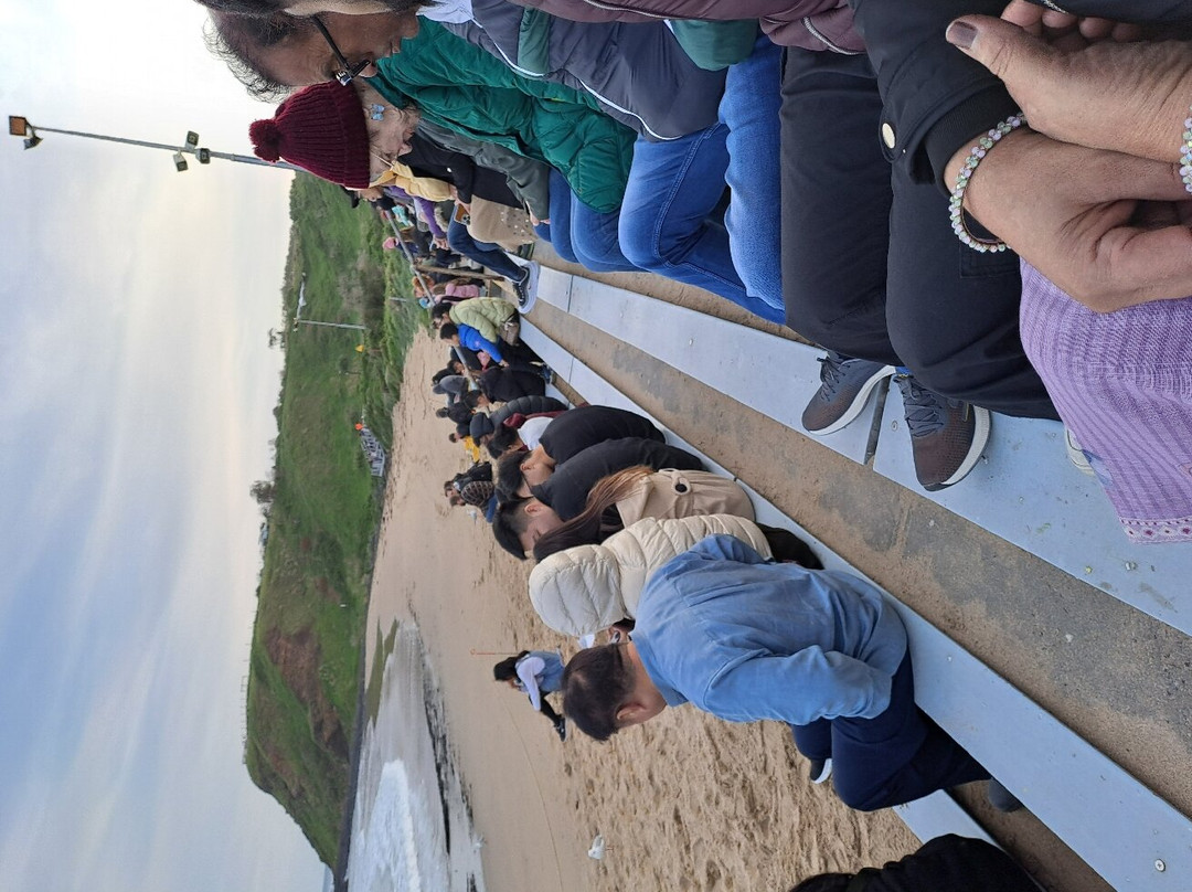 Island Breeze Resort主图