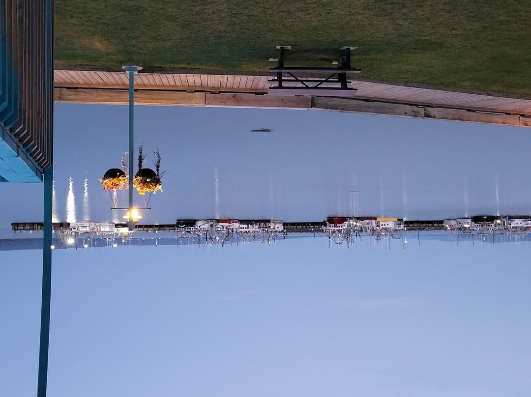 Come From Away B&B Inn主图