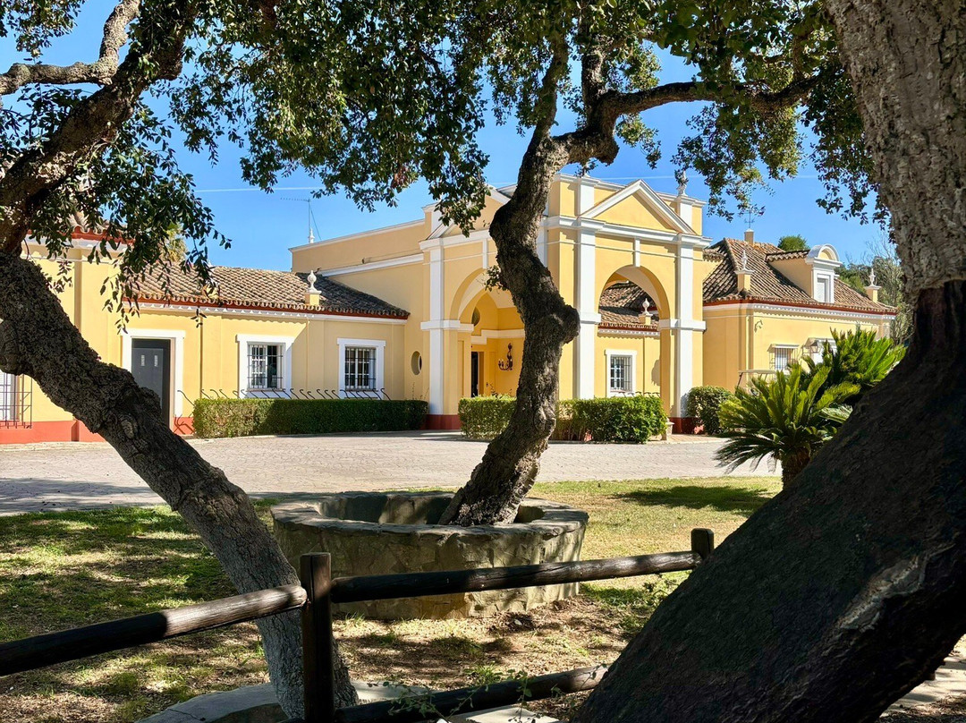 Hacienda Montenmedio主图