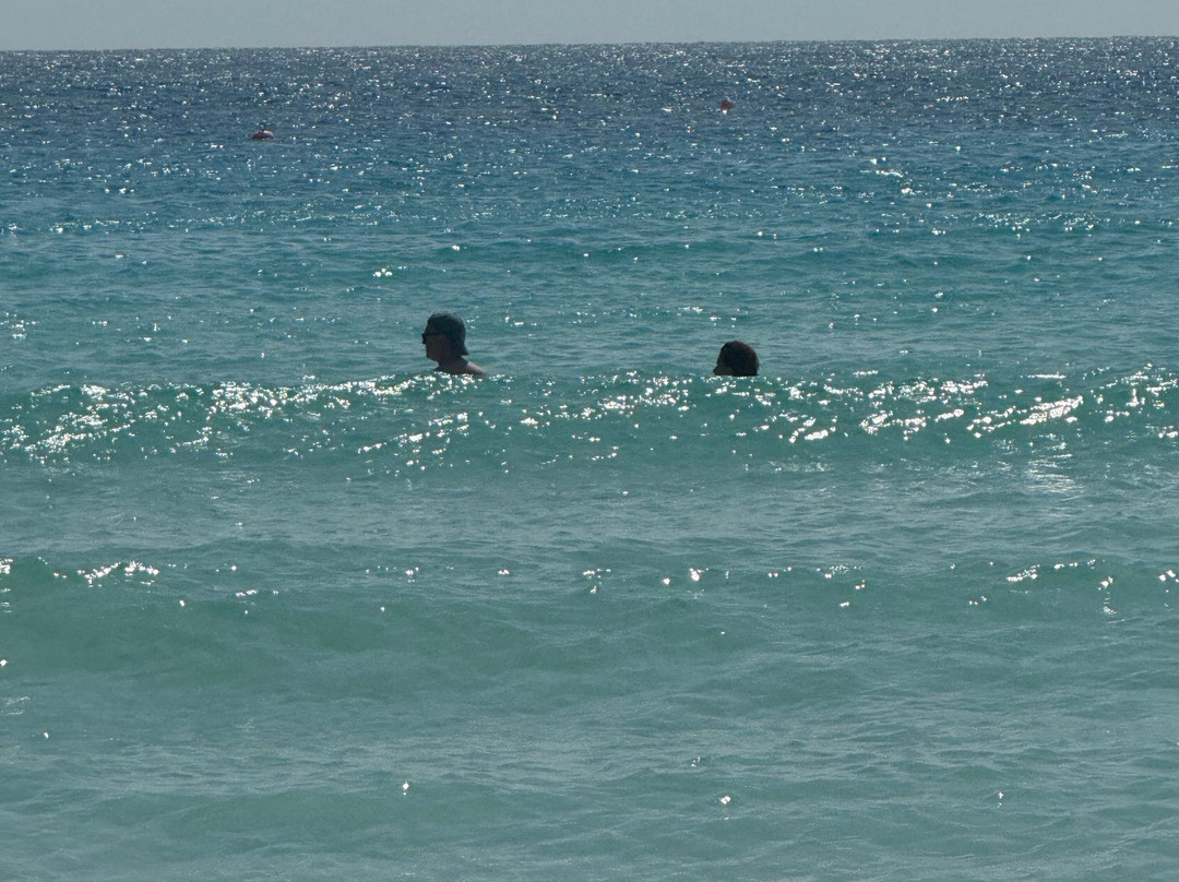 Terrvette Tours & Taxi Service-Maynards必去景点