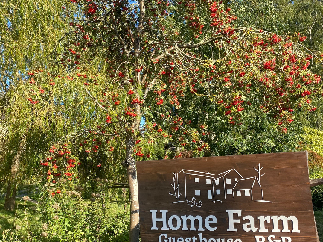 Home Farm Bed and Breakfast主图
