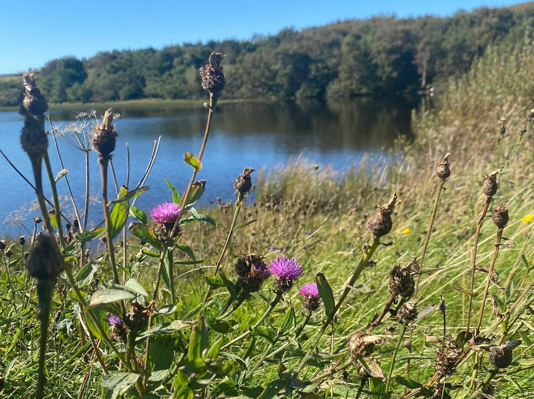 Trotternish B&B主图