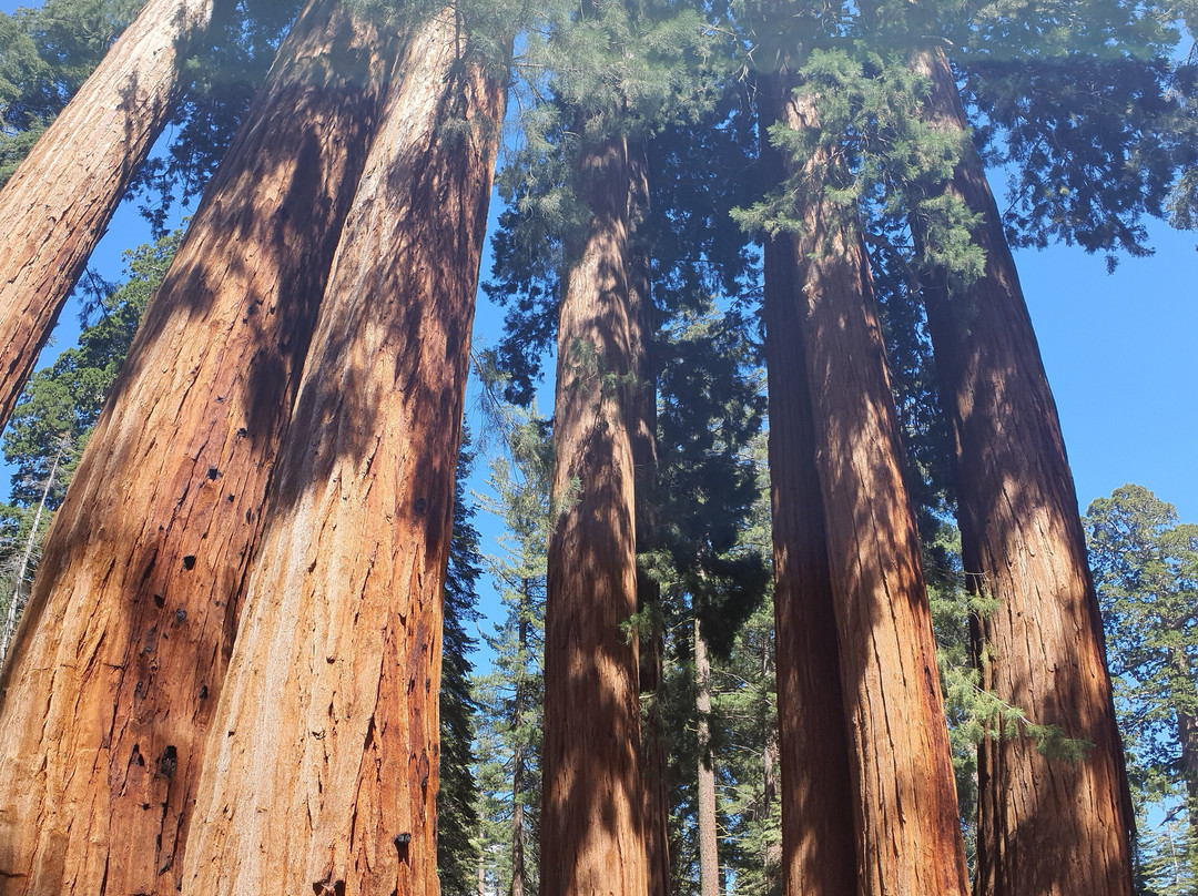 The Parker Group-红杉&国王峡谷国家公园必去景点