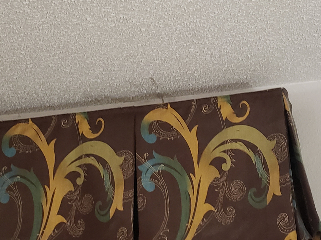 Quality Inn & Suites主图