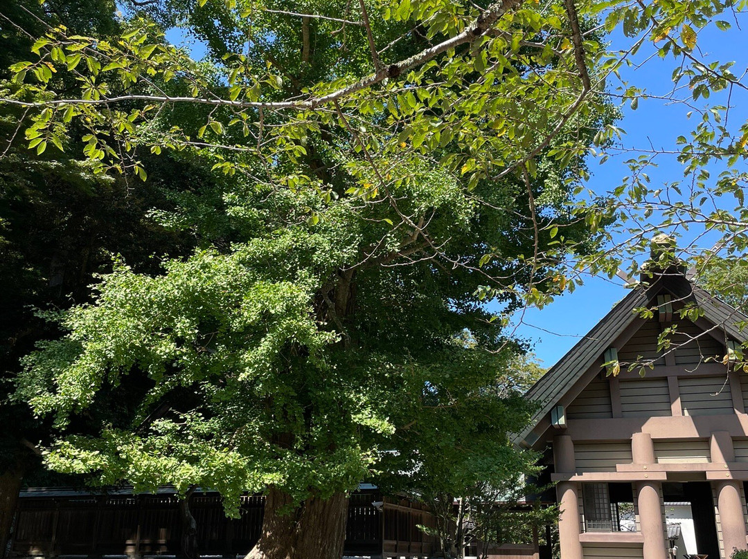 Awa Jinja-馆山市必去景点