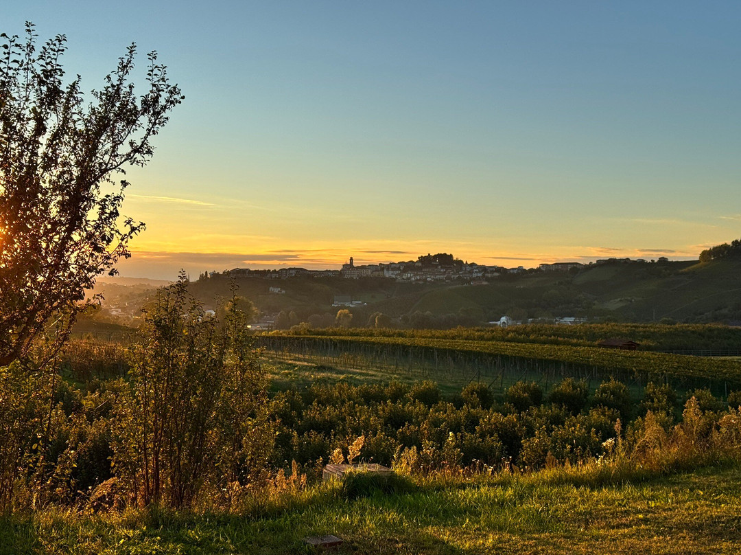 Azienda Agricola Criolin景点图片