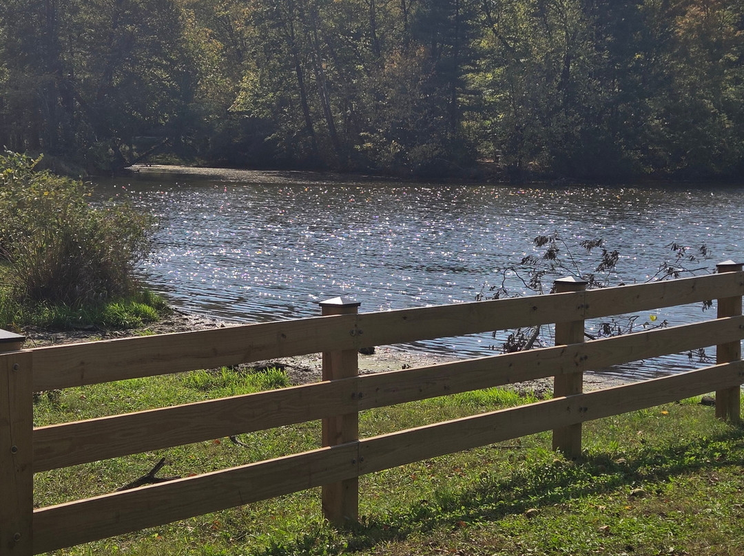 Sodalis Nature Park景点图片