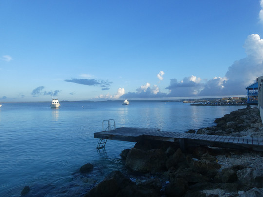 Divi Flamingo Beach Resort & Casino主图