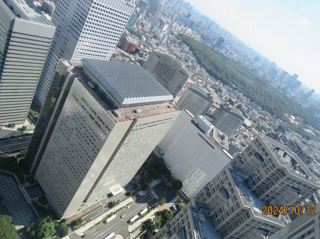 Tokyo Metropolitan Government Building Observation Decks景点图片