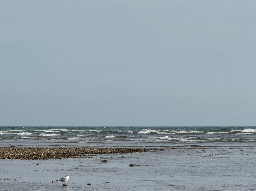 Carl D. Bradley Lakeview Park-Manistique必去景点