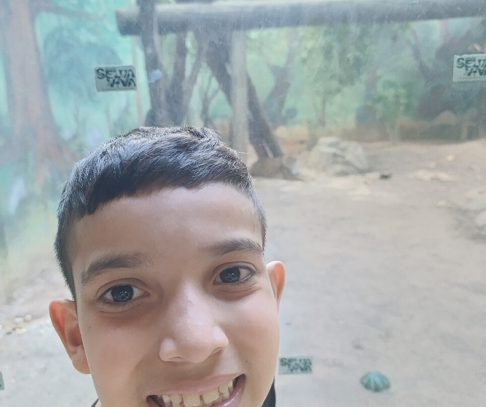 Projeto Selva Viva景点图片