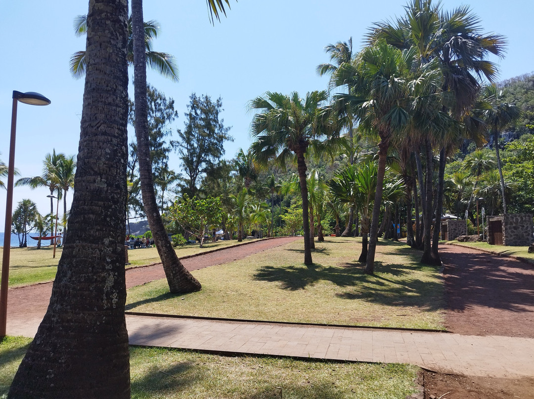 Plage de Grande Anse景点图片