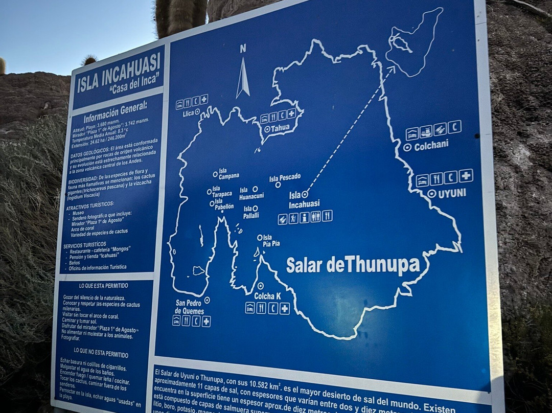 Isla Incahuasi-乌尤尼必去景点