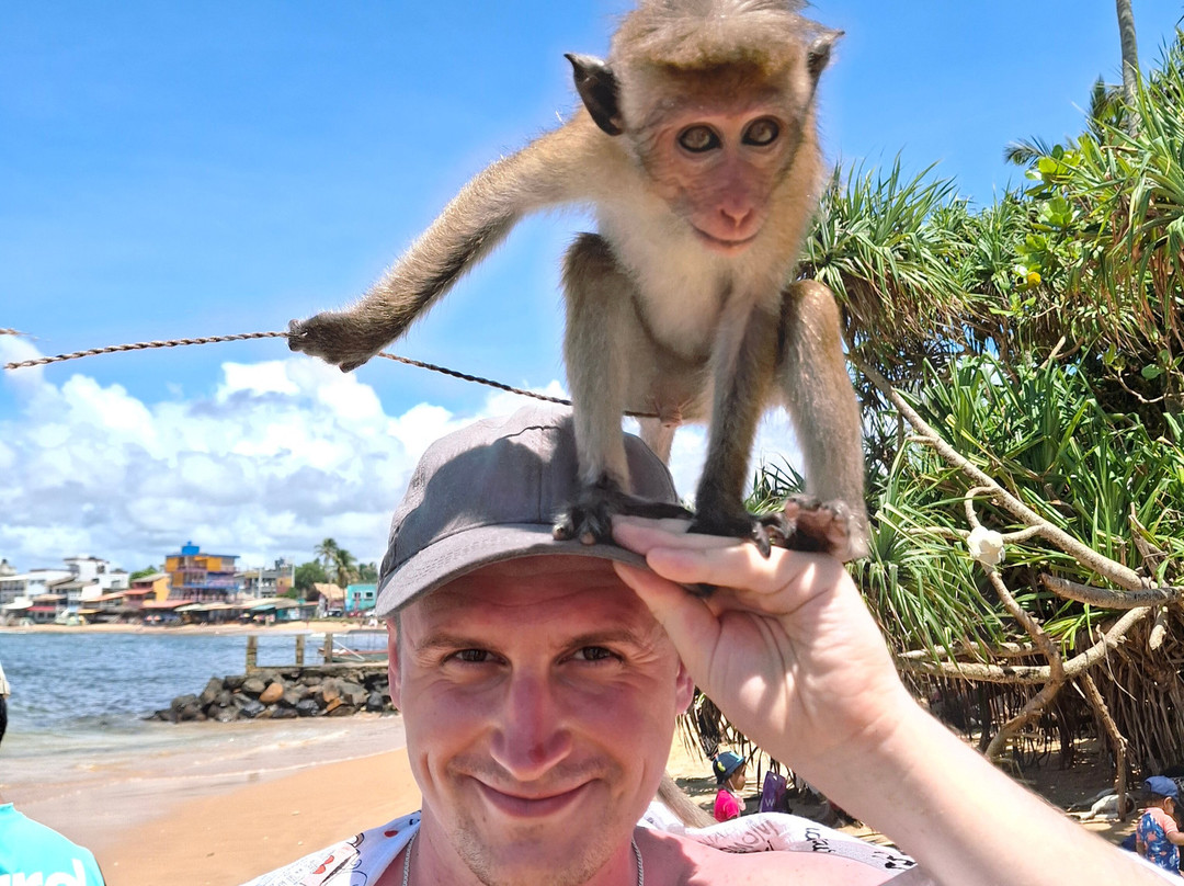 ශ්‍ Экскурсии и туры по Шри-Ланке на русском ලං «ШриЛанкаРус»-加勒必去景点