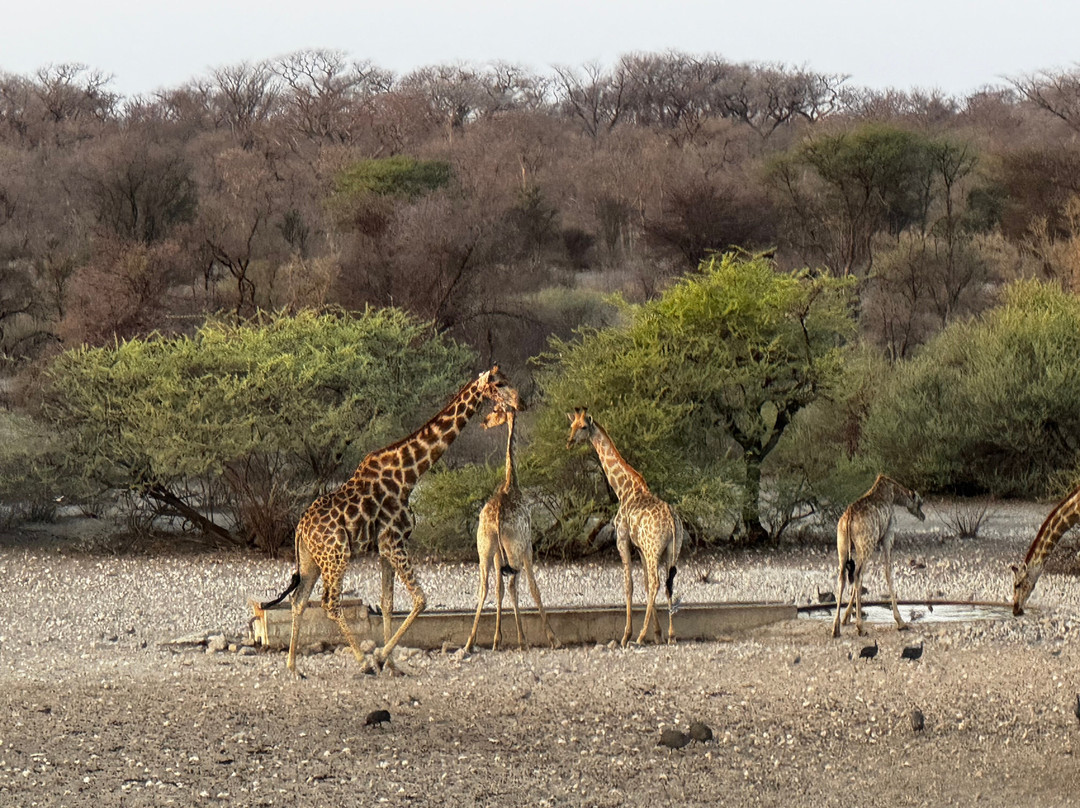 Wildacker Guestfarm主图