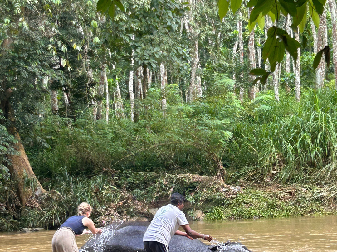 Elephant Care Relief Foundation景点图片