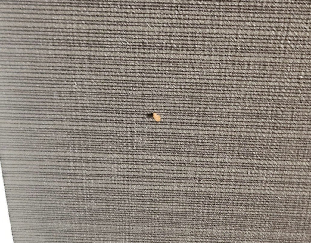 Sandman Signature Kamloops Hotel主图