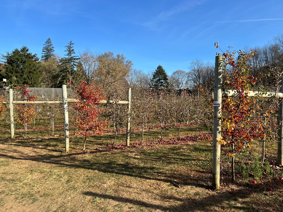 Hacklebarney Farm Cider Mill景点图片