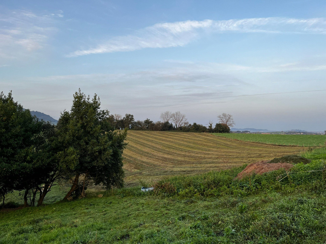 El Mirador de Rivas主图