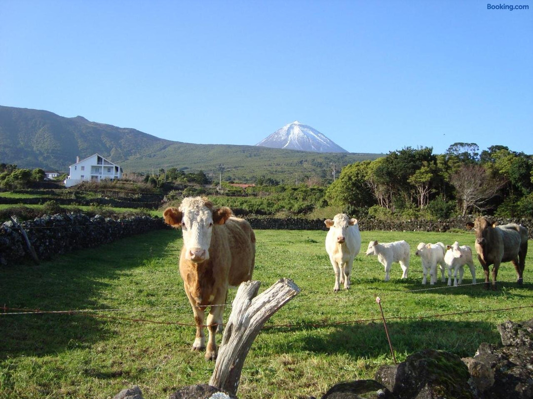 Pico Holiday Rentals , Casa Do Canto