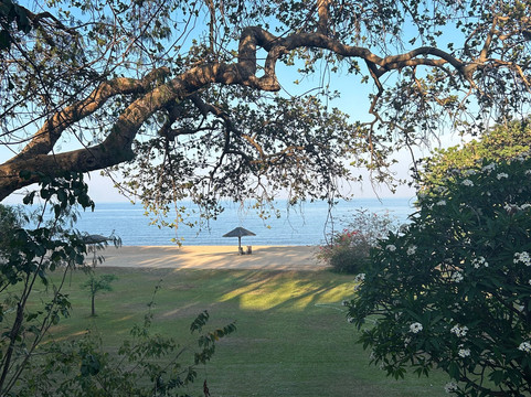 Ngala Beach Lodge主图