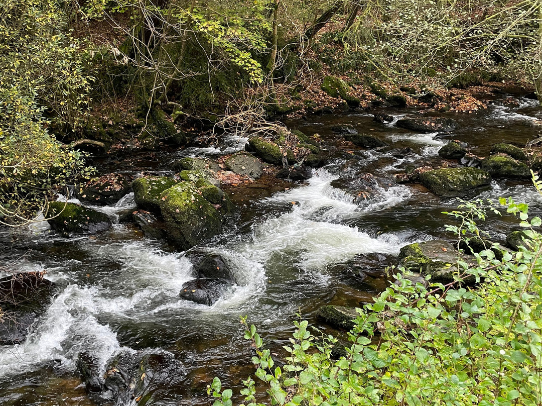 The Rockford Inn主图