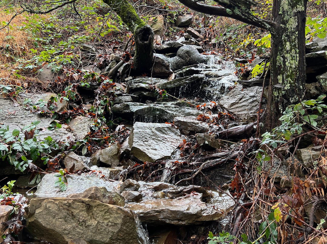 The Lodge at Mount Magazine主图