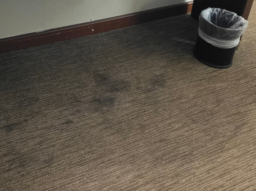 Radisson Hotel Cincinnati Riverfront主图