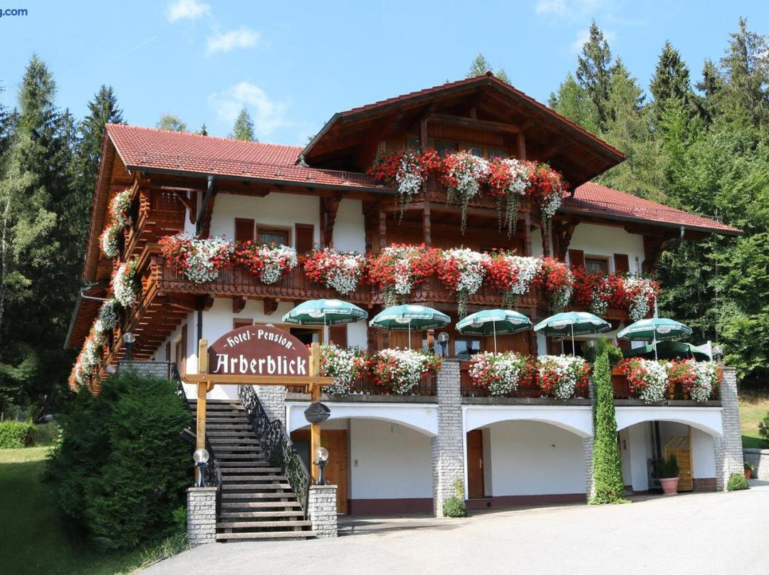 Arberblick Hotel