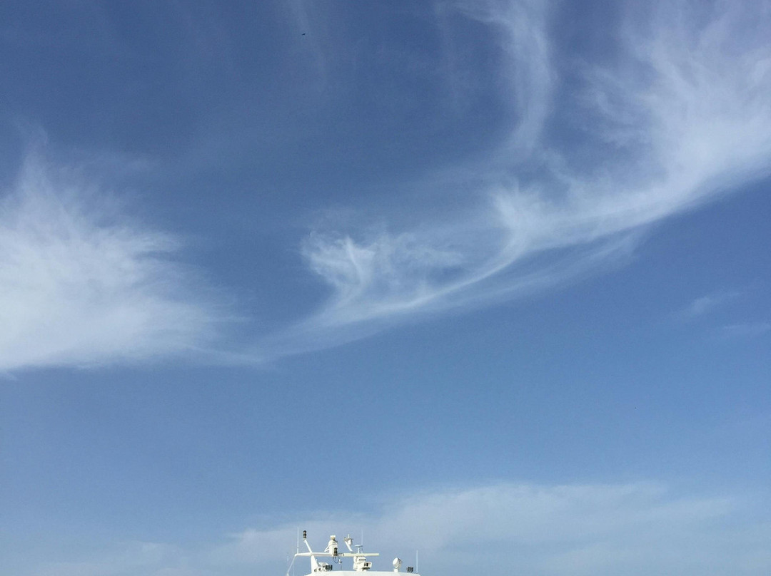 The Steamship Authority景点图片