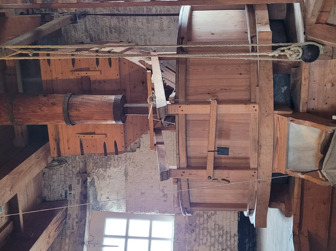 Museummolen de Walvisch景点图片